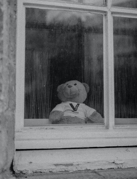 Teddy bear sitting in a rainy window