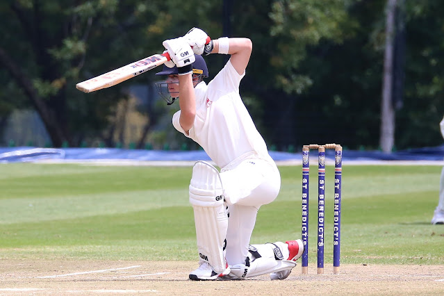 women's world cup cricket