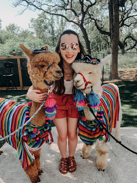 Madalyn standing in between two llamas with bring Cinco de Mayo colored accessories.