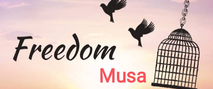 Freedom-musa