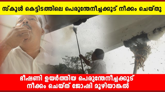 സ്‌കൂള്‍ കെട്ടിടത്തില്‍  ഭീഷണി ഉയര്‍ത്തിയിരുന്ന പെരുന്തേനീച്ചക്കൂട് നീക്കം ചെയ്തു