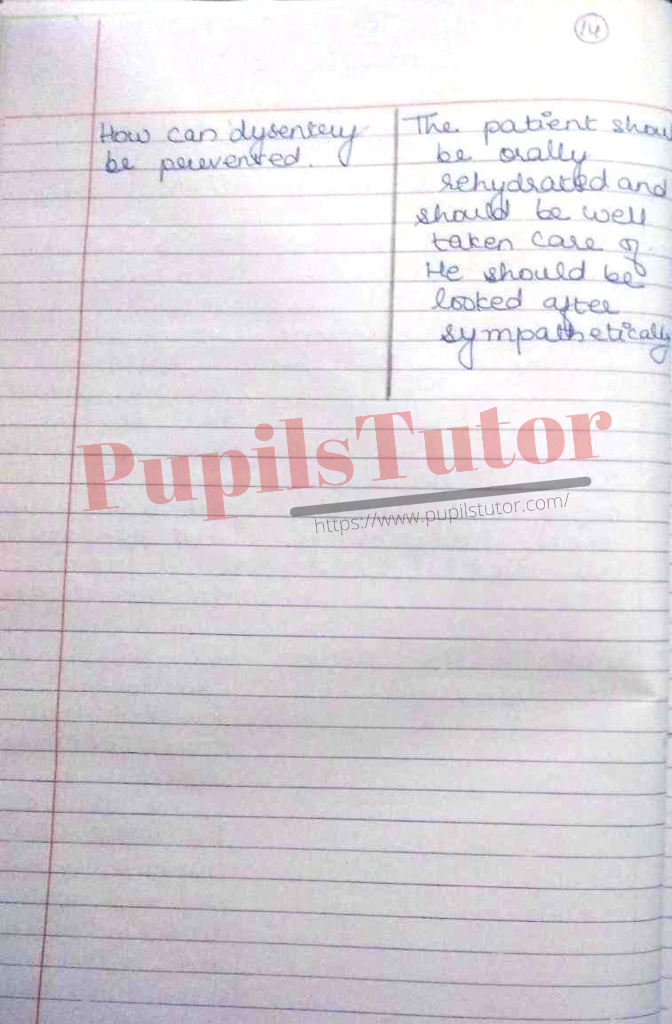 Micro Teaching Skill Of Stimulus Variation Diarrhoea And Dysentery Lesson Plan For B.Ed And D.el.ed In English Medium Free Download PDF And PPT (Power Point Presentation And Slides) – (Page And Image Number 2) – PupilsTutor