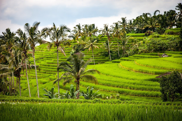 Tempat desa wisata Lombok, sumber: www.goodnewsfromindonesia.id