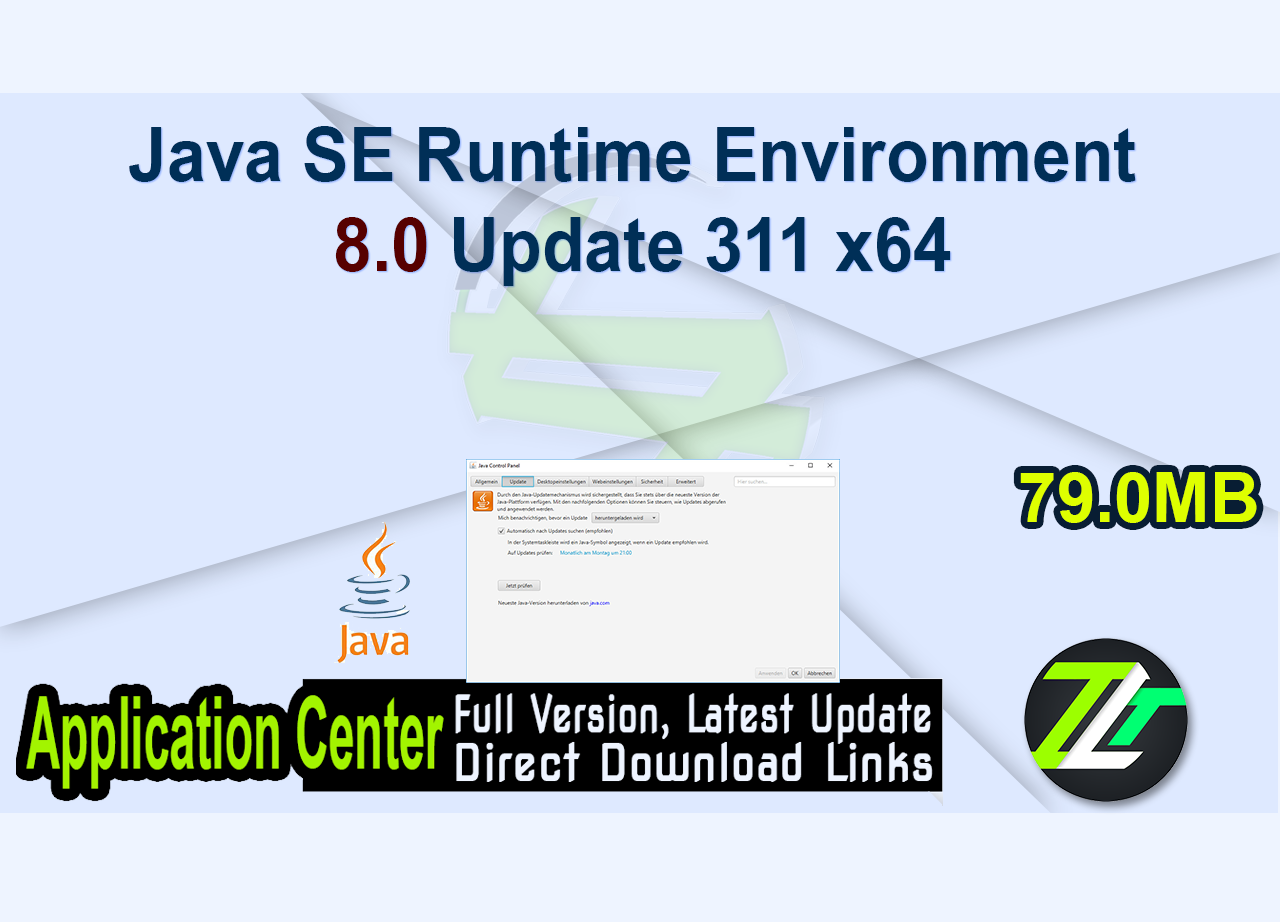 Java SE Runtime Environment 8.0 Update 311 x64