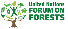 UNFF (United Nations Forum on Forest)