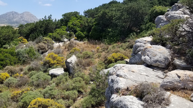 Λατομείο μαρμάρου στην κοιλάδα στο Σαγκρί της Νάξου [Credit: Scott Pike]