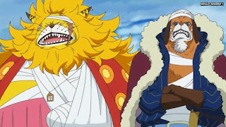 ワンピースアニメ ゾウ編 768話 ネコマムシ イヌアラシ | ONE PIECE Episode 768