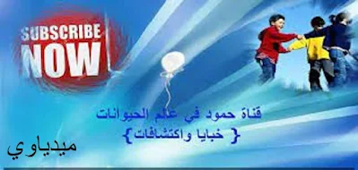 تردد قناة حمود