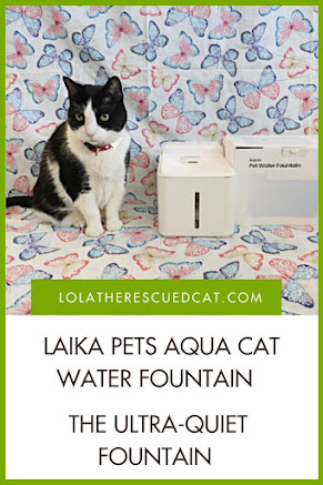 Laika Pets Fountain Pinterest Graphic