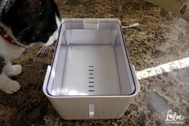 black and white cat with Laika Pets Aqua Water Fountain