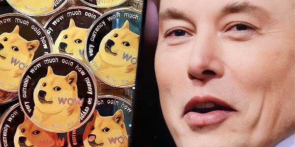 Elon Musk Replaces Twitter Logo with Doge Meme: A Playful Nod to Dogecoin