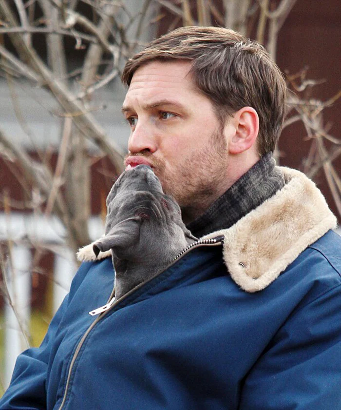 Heartwarming Photos Of Tom Hardy With Puppies Are Going Viral, And They’ll Melt Your Heart