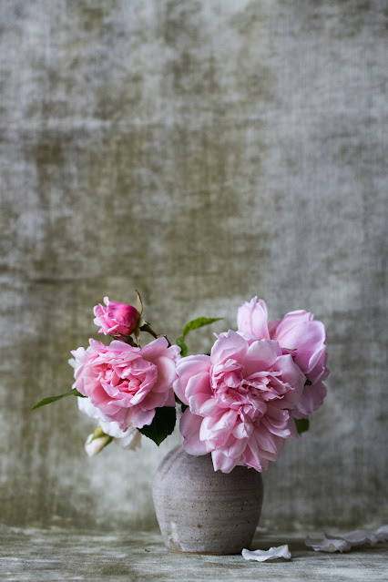 pink blossoms in vase