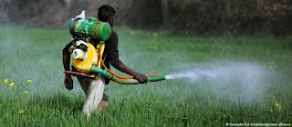 Relatório destaca uso no Brasil de pesticidas proibidos pela UE