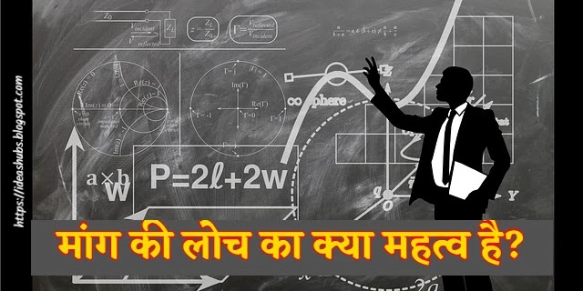 मांग की लोच का क्या महत्व है? | Importance of elasticity of demand in hindi