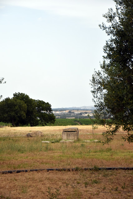 Sarcofago romano nel terreno de Le Grotte di Sileno