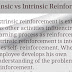 Extrinsic vs Intrinsic Reinforcement 