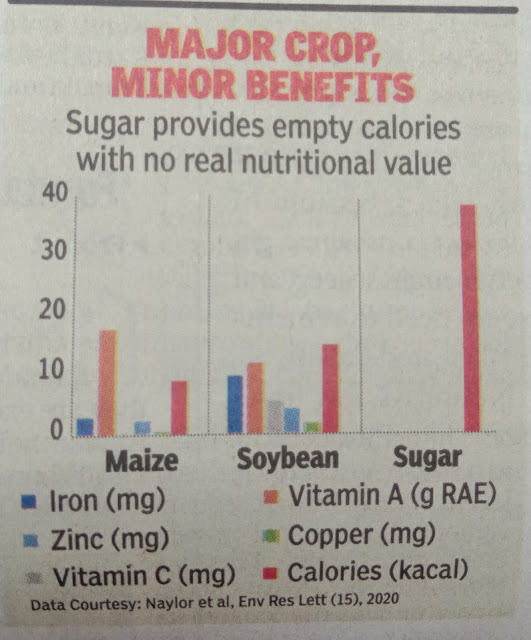 Sugar Our Enemy in Disguise