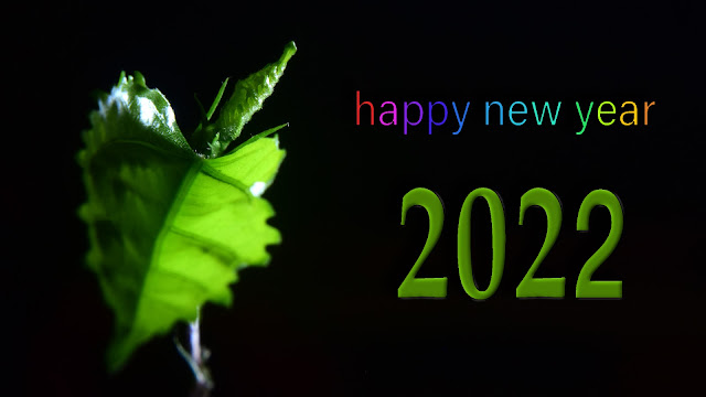 Happy New Year 2022 WhatsApp Status | Happy New Year 2022 | 2022 Status video | New Year 2022 status