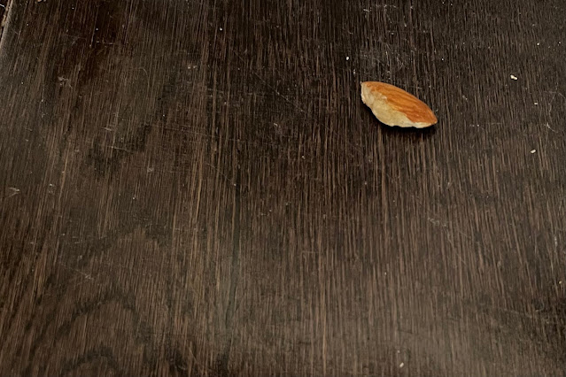 An almond next to a near scratch free wooden floor