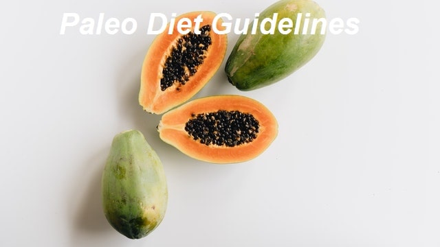 Paleo Diet Guidelines