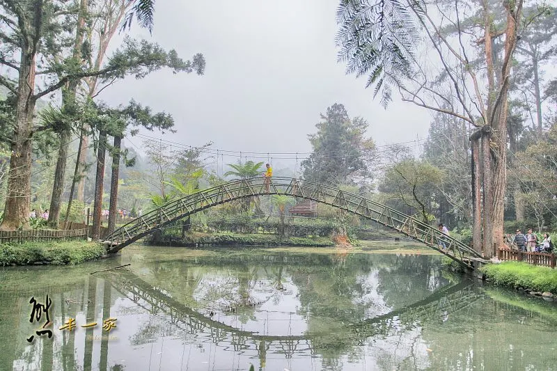 南投景點|溪頭自然教育園區|溪頭神木|天空走廊|大學池