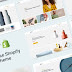 Koller - Multipurpose Shopify Sections Theme Review