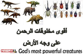 God's most powerful creatures أقوى مخلوقات الله على وجه الأرض