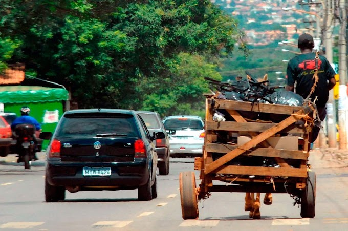 Câmara de Vereadores de Gravataí vai realizar uma audiência pública sobre a redução de veículos de tração animal