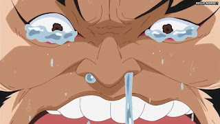 ワンピースアニメ ゾウ編 773話 雷ぞう | ONE PIECE Episode 773