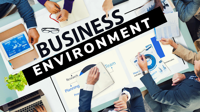 What is Business Environment?