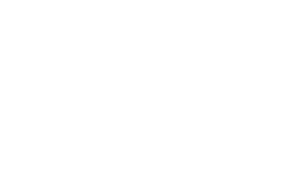 Savvy Income
