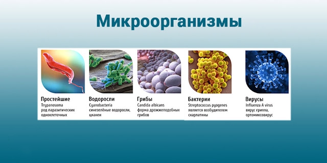 Услуги сантехника в Москве и Московской области