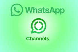 WhatsApp Channel Feature