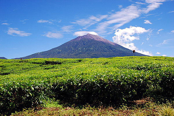 Gunung Kerinci