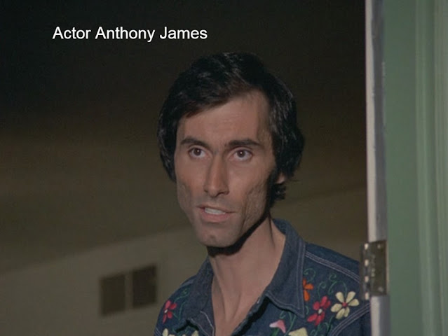 actor Anthony James Police Story
