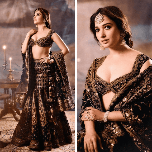 Tamannaah Bhatia Bares Toned Midriff in Plunging Choli & Lehenga at Ambani Reception