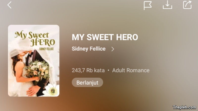 Novel My Sweet Hero