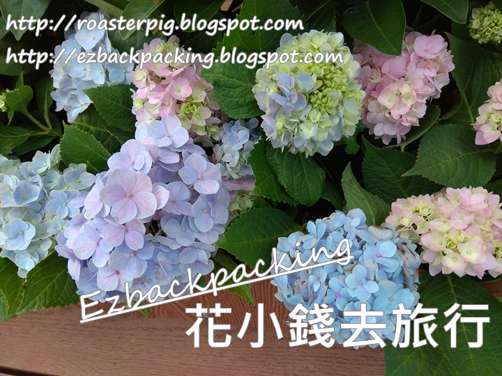香港動植物公園繡球花