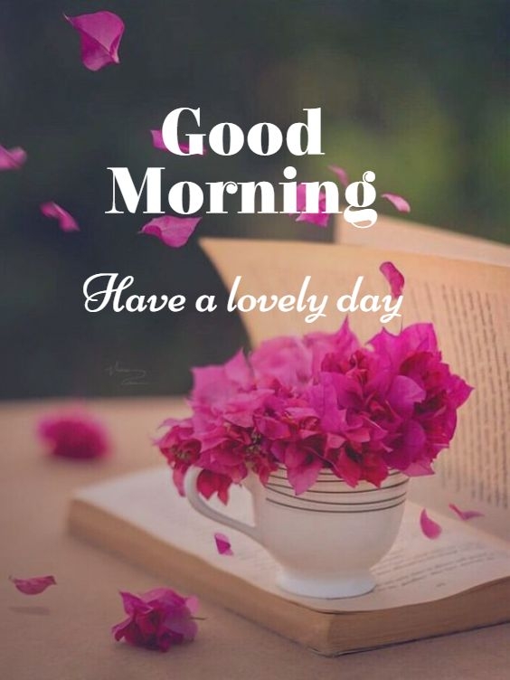 image good morning photo, good morning photo and video download, good morning photo radhe krishna, good morning photo janu, good morning photo ji