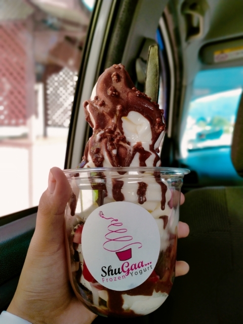 review frozen yogurt shugaa kluang