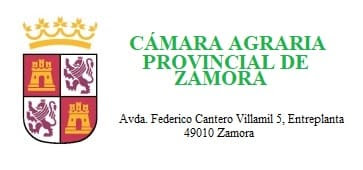CAP Zamora