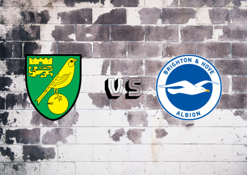 Norwich City vs Brighton & Hove Albion  Resumen