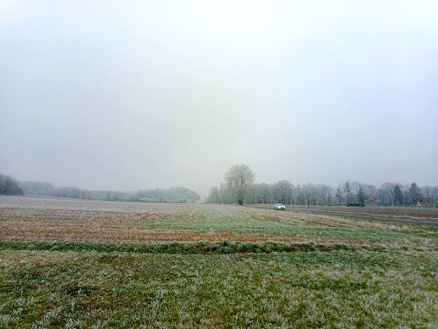 Freezing fog on the outskirts of Abilly, Indre et Loire, France. Photo by Loire Valley Time Travel.