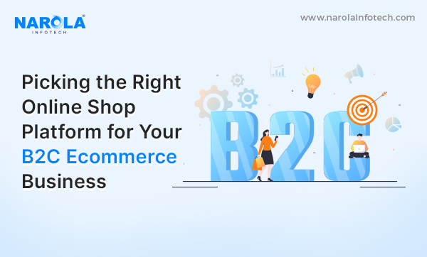 B2C Ecommerce Business