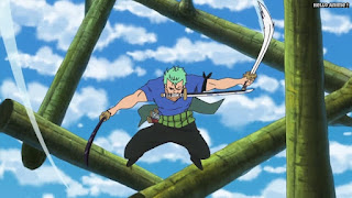 ワンピースアニメ ゾウ編 775話 ロロノア・ゾロ Roronoa Zoro  | ONE PIECE Episode 775