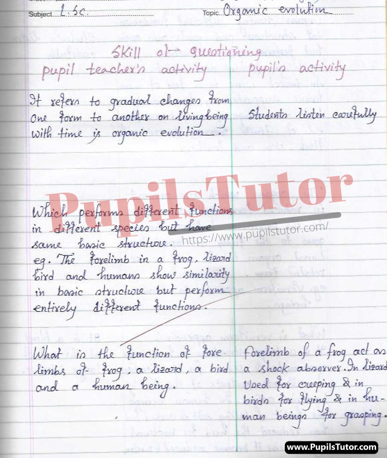 Concept Of Organic Evolution Lesson Plan – (Page And Image Number 1) – Pupils Tutor