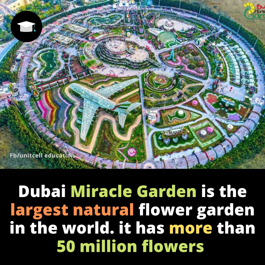 Interesting fact about Dubai