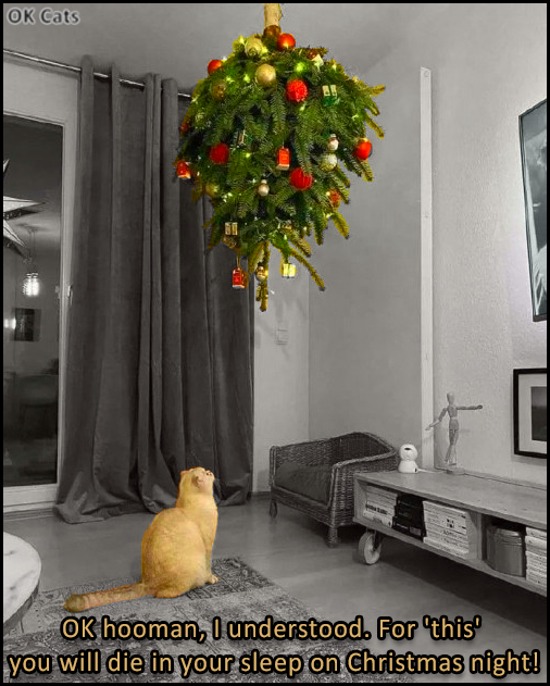 Funny Cat GIF with caption • Poor cat is confused because the Xmas tree is hanging from the ceiling upside down.
