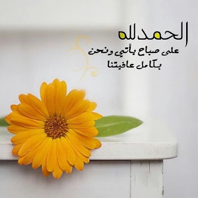 صور صباحية